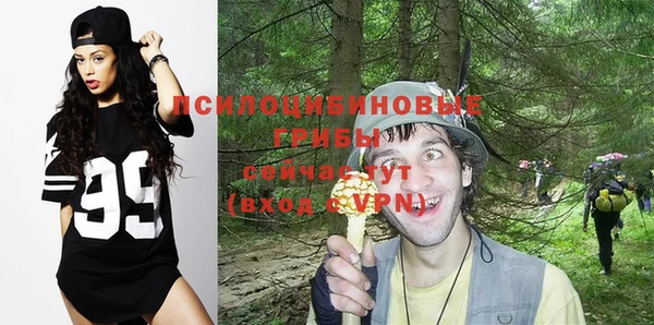 хмурый Верхний Тагил
