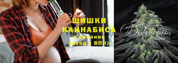 молекула духа Бородино